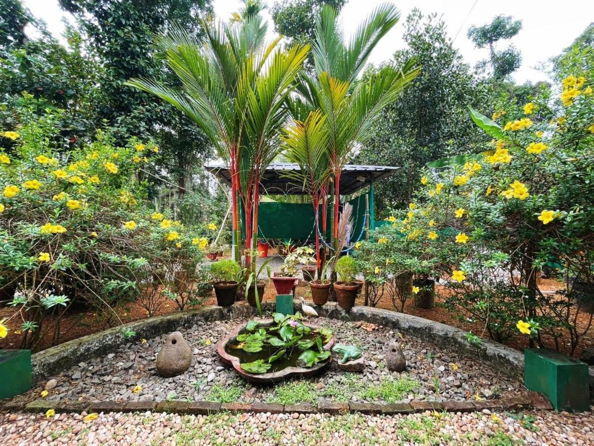 Kuttickattil Gardens Homestay 戈德亚姆 外观 照片
