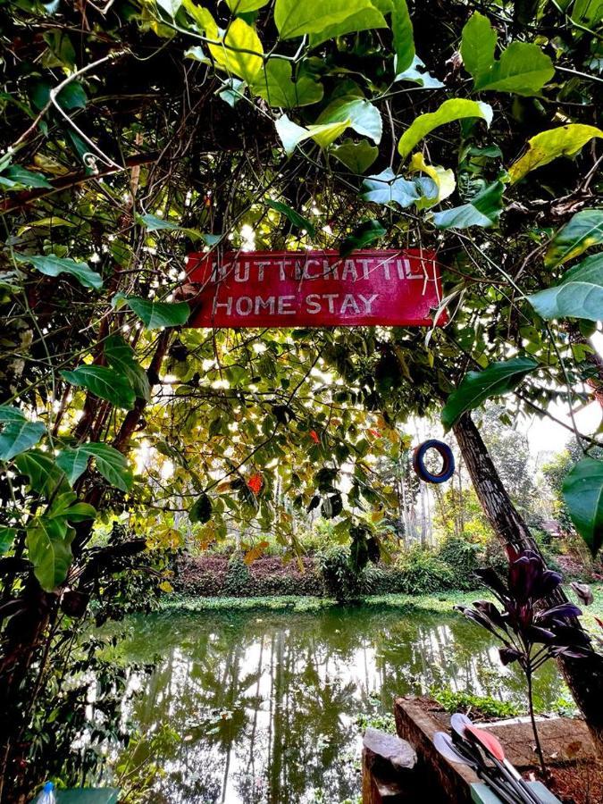 Kuttickattil Gardens Homestay 戈德亚姆 外观 照片