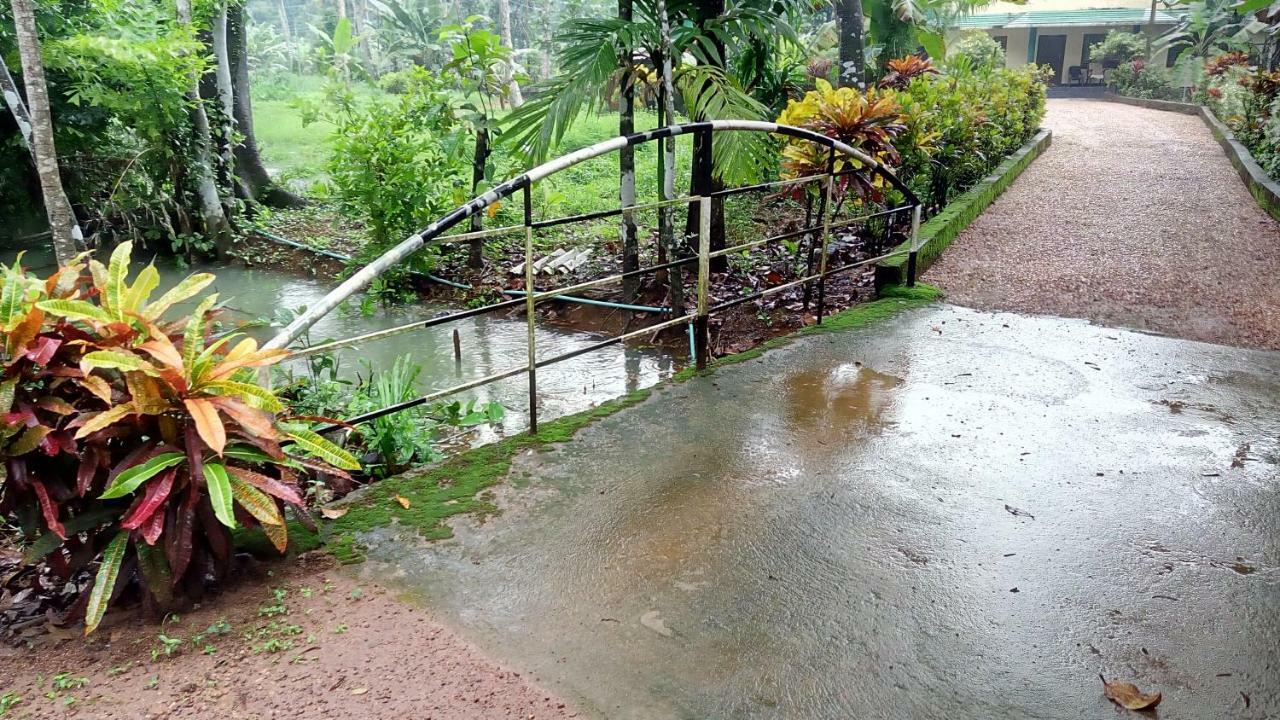 Kuttickattil Gardens Homestay 戈德亚姆 外观 照片